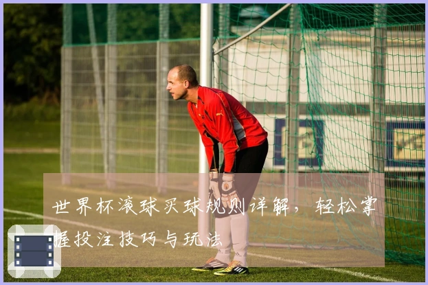 世界杯滚球买球规则详解，轻松掌握投注技巧与玩法
