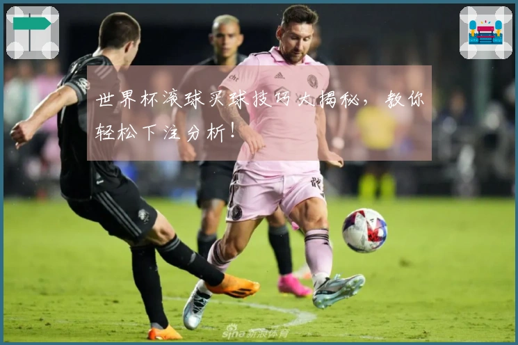 世界杯滚球买球技巧大揭秘，教你轻松下注分析！
