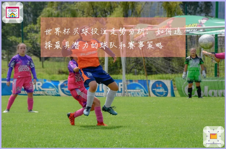 世界杯买球投注走势分析：如何选择最具潜力的球队和赛事策略