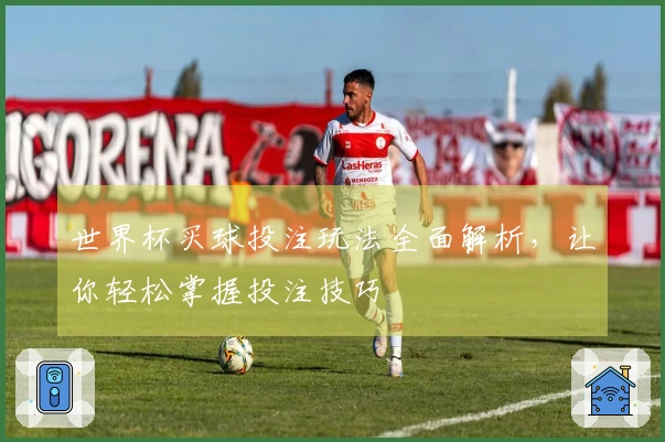 世界杯买球投注玩法全面解析，让你轻松掌握投注技巧