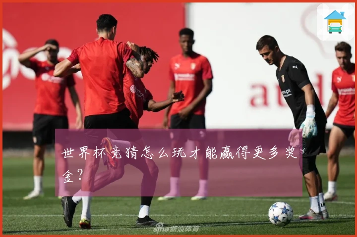 世界杯竞猜怎么玩才能赢得更多奖金？